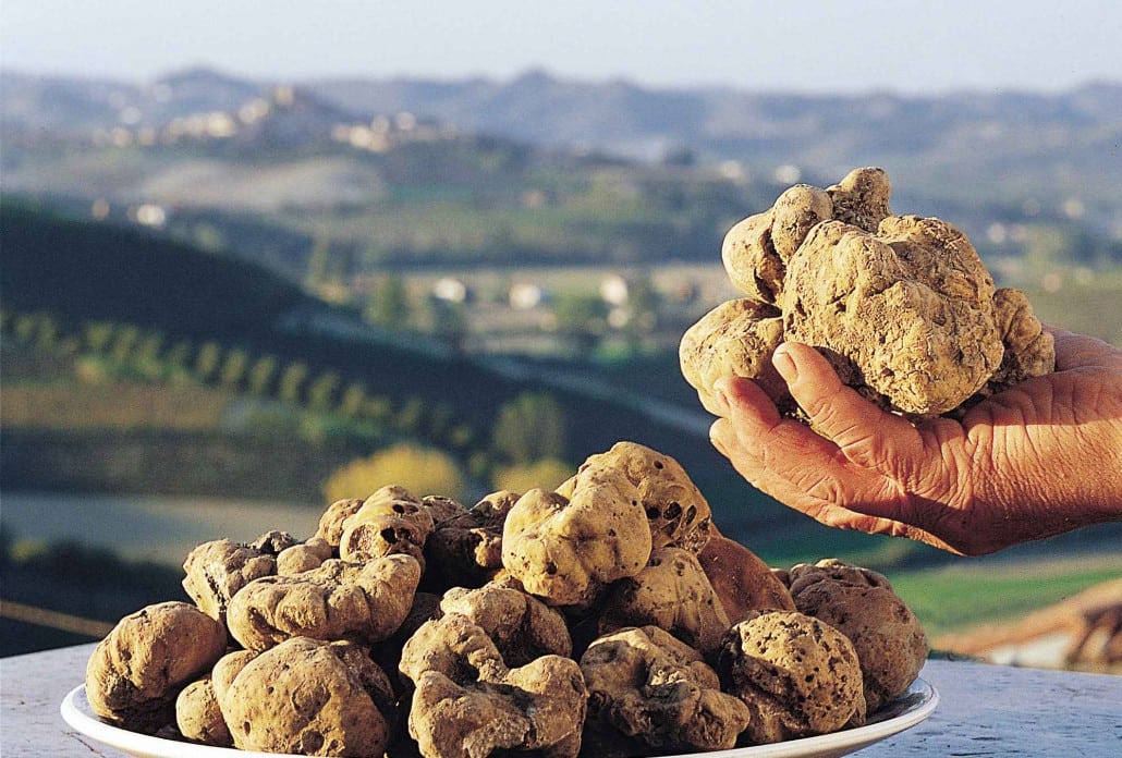 Tartufo Bianco d'Alba